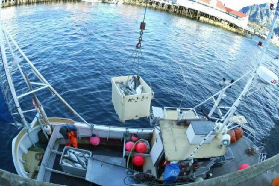 pescas, 6%, bacalhau, Assunção Cristas