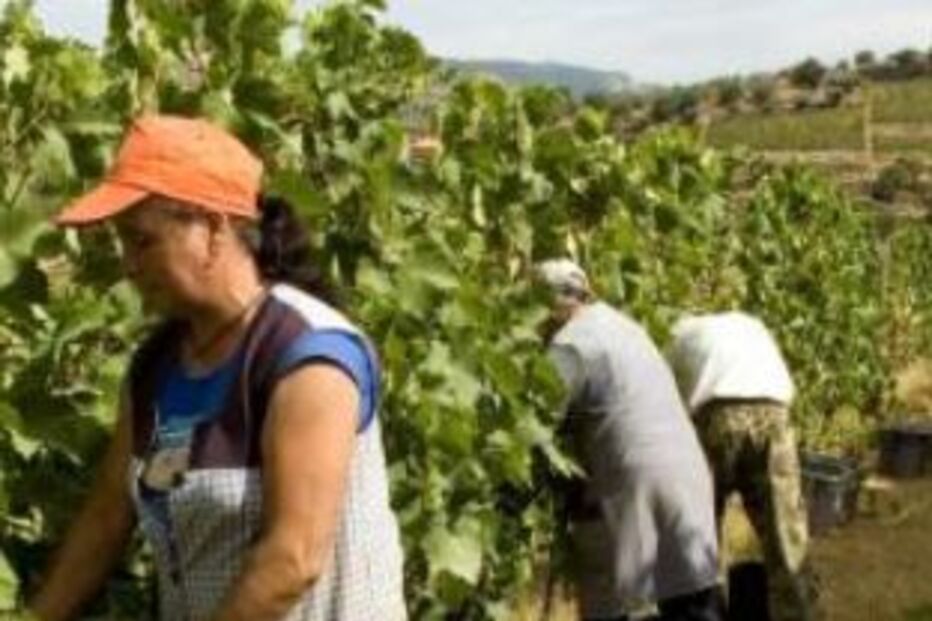 agricultores, portugal, união europeia, salários, eurostat