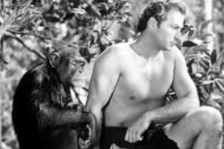 Chimpanzé, Cheeta, Tarzan, EUA, Cinema