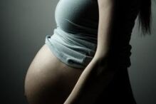 psd, barrigas de aluguer, gay, parlamento, decreto-lei, pma