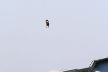 Naufrágio de paquete em Itália provoca viagem de terror 