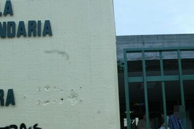 SEXO, ESCOLA, SERVIÇO, AMORA