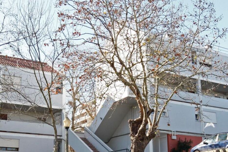 Três carjackings espalham terror 