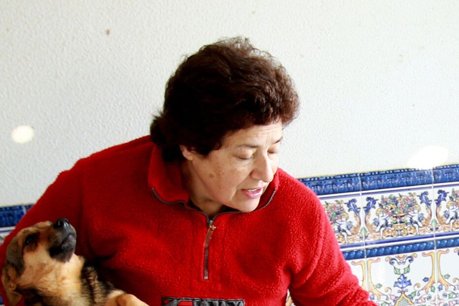 ANIMAIS, PINHAL NOVO, CÃES, GATOS, ABANDONADOS