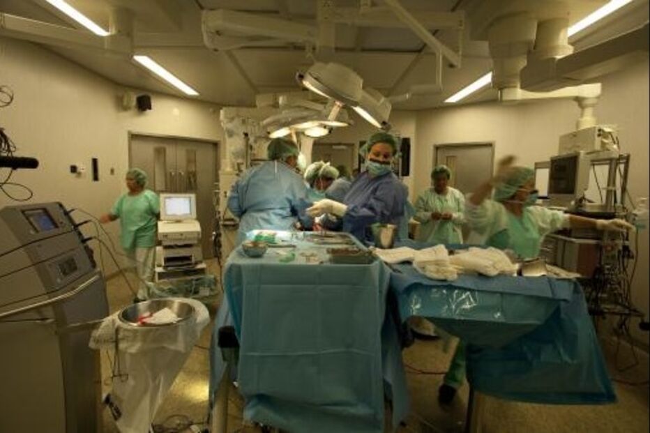 transplantes, doação de órgãos, Organização Nacional de Transplantes, Ministra da Saúde, Serviços Sociais e Igualdade, Ana Mato