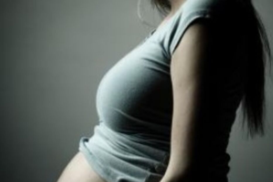 psd, barrigas de aluguer, gay, parlamento, decreto-lei, pma