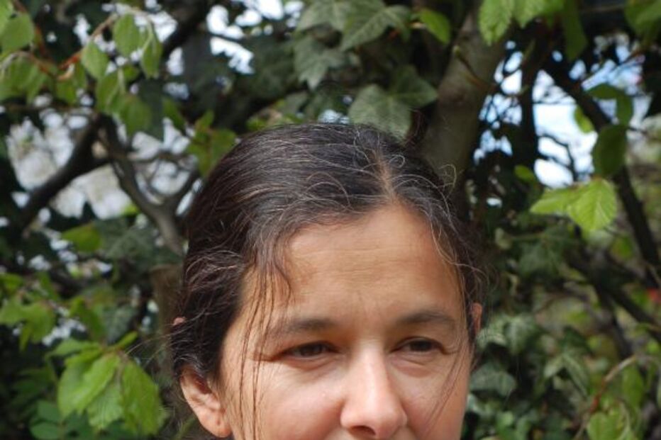 sharon dogar, livro, obra, peter van pels, anne frank, alemanha, judeus, nazis, holanda