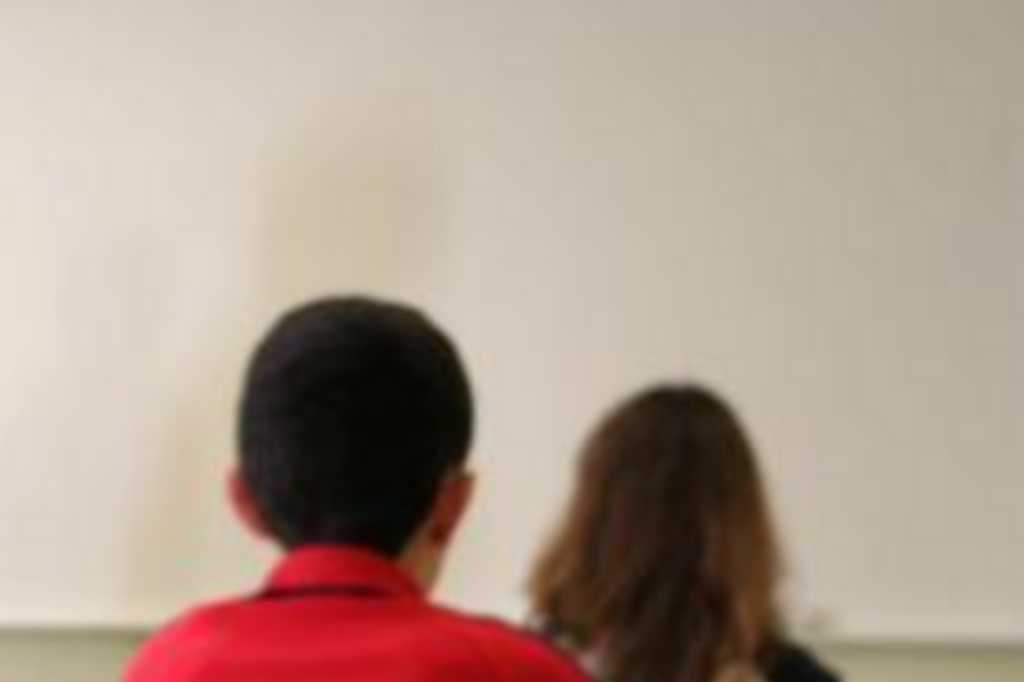 trissomia 21, Escola, Escola Básica Integrada Vasco da Gama, Maria José Soares