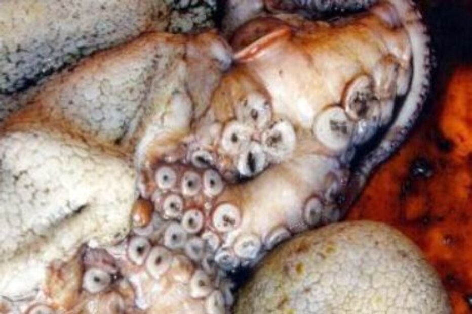 polvo, roubo, julgamento, champô, porto
