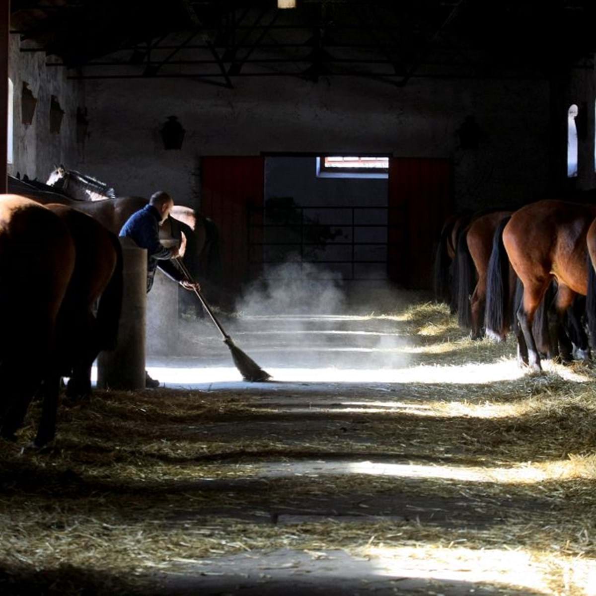 COMBATE MONTADO  Como era Lutar de Cima de Um Cavalo na Idade