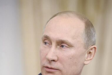 Putin, Rússia, Primeiro-ministro, NATO