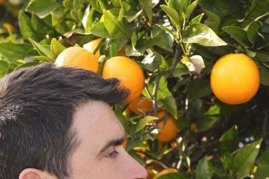 PRODUÇÃO, FRUTOS, LEGUMES