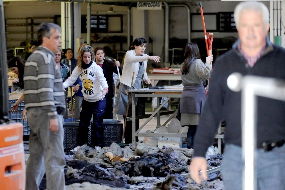 Incêndio, Têxtil, Blutex