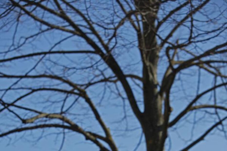 Cavaco cancela visita após protestos de estudantes