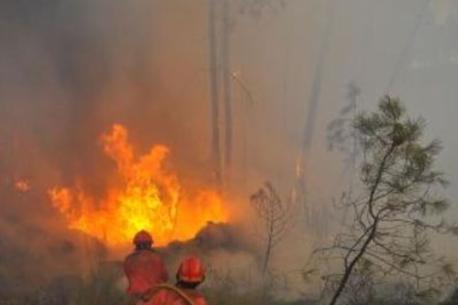 chamas, fogo, incêndio, castro daire, bombeiros