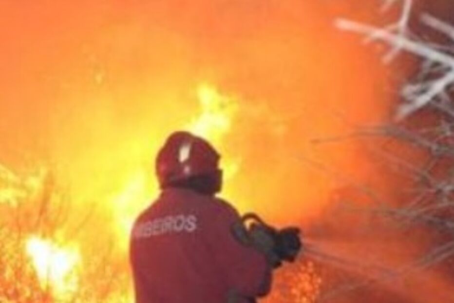 Incêndio, Fogo, Chamas, Mato, Activos, Bombeiros, Protecção Civil