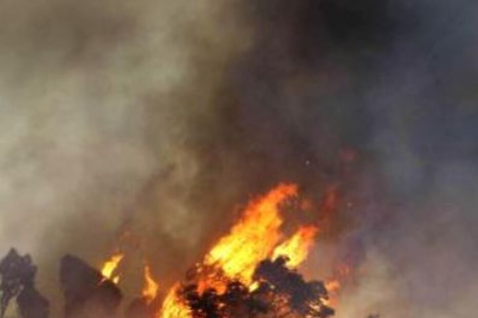 incêndios, fogo, chamas, bombeiros