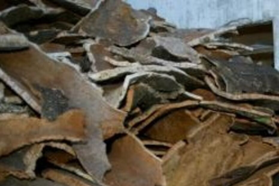 Corticeira, Cortiça, Lucro, Facturação, Empresa