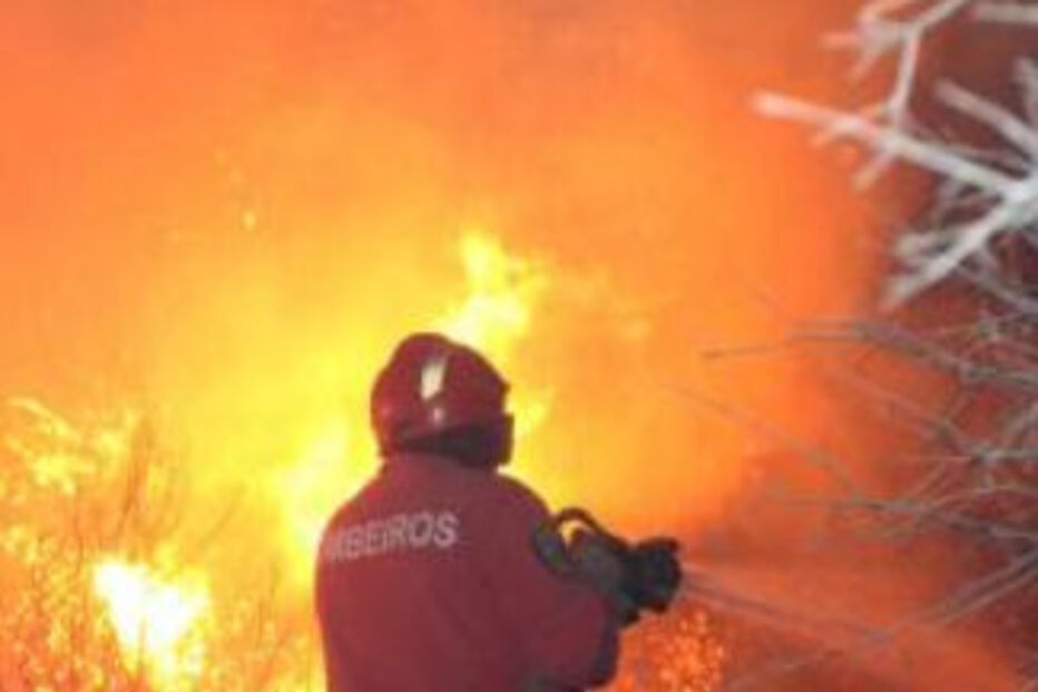 incêndios, suspeitos, guarda, gnr, queimadas, bombeiros