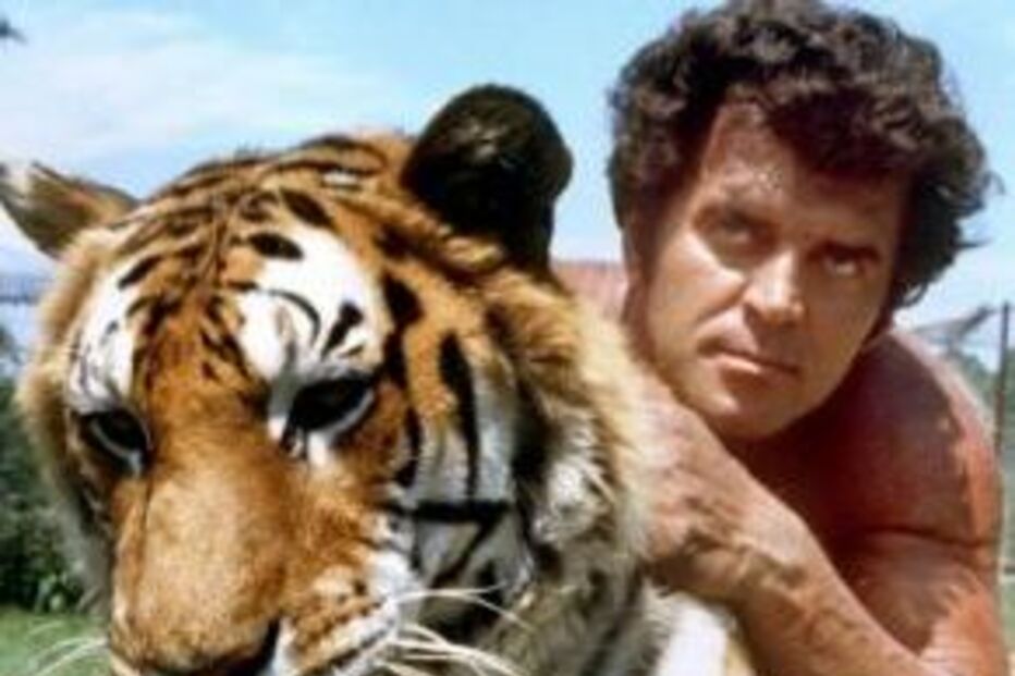 tarzan, steve sipek, palm beach, tigre, leopardos