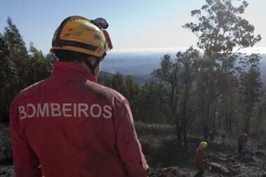 Bombeiros voluntários manifestam-se em Lisboa por melhores condições laborais