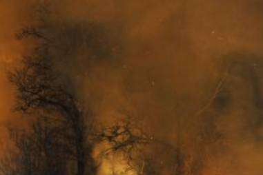 Incêndio Florestal, Fogo, Bombeiros, Chã, Santiago de Piães, Póvoa de Lanhoso, ANPC