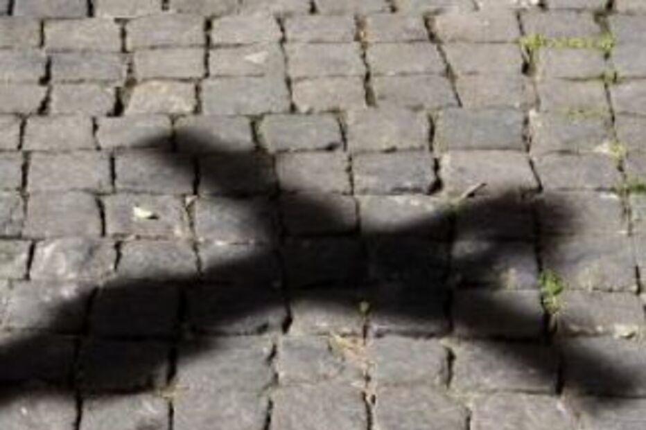 homossexualidade, castração, jovens, menores, holanda, igreja católica, padres, investigação