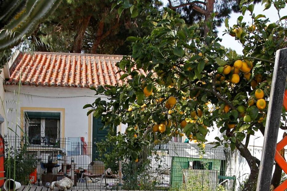 piscina, menino, afogamento, almada, prima