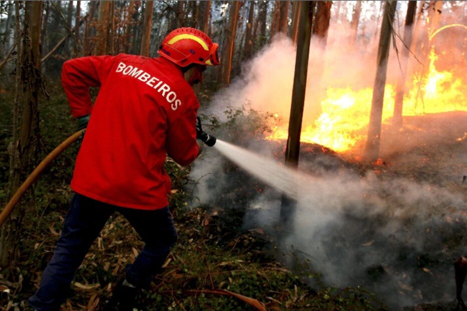 Incêndios, fogos, Moita, Castro Daire, Protecção Civil, ANPC, bombeiros
