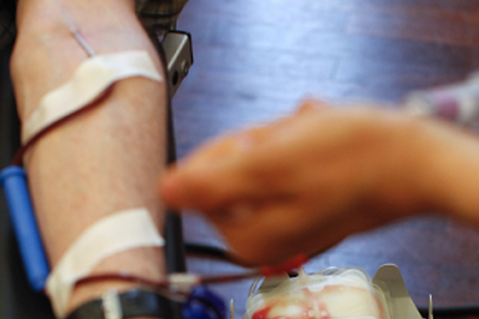 Investigação, Saúde, Portugal, Hospital, Bactérias, Antibióticos, Estudos, Gabriela Silva, Universidade de Coimbra 