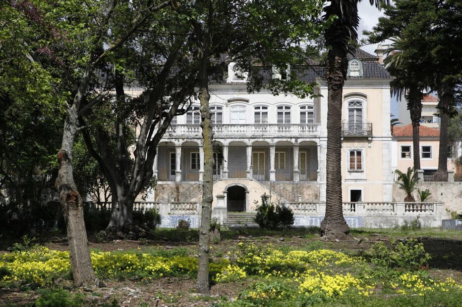 Palácios, castelo, palacete