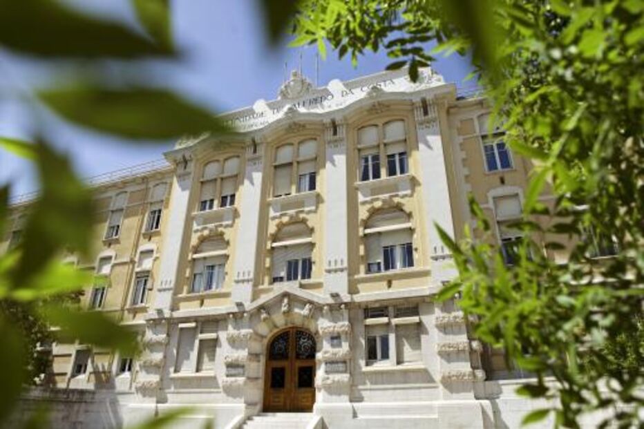 maternidade, alfredo da costa, ministro, saúde, cordão humano, profissionais, utentes, médicos