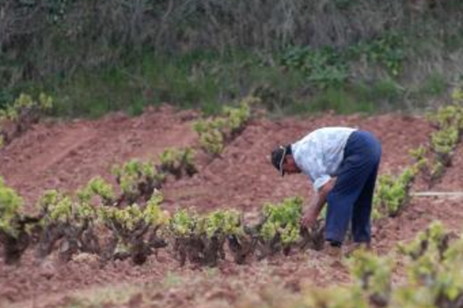 Alentejo, PCP, Governo, Agricultura, Direcção Regional do Alentejo, Executivo, Seca