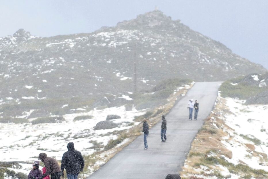 VENTO, MAU TEMPO, ÁRVORES, SERRA DA ESTRELA, SEIXAL
