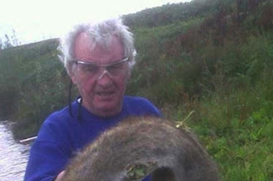 Roedor, Ratazana, Rato do rio, Inglaterra, Pensionista, Reino Unido