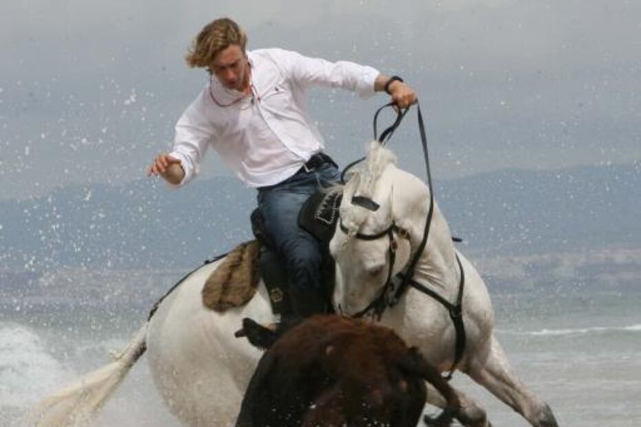 Rui Fernandes, Touro, Cavalo, Cavalo morto, Sevilha, Espanha, Tauromaquia