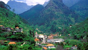 Madeira na lista verde britânica provoca aumento imediato de reservas