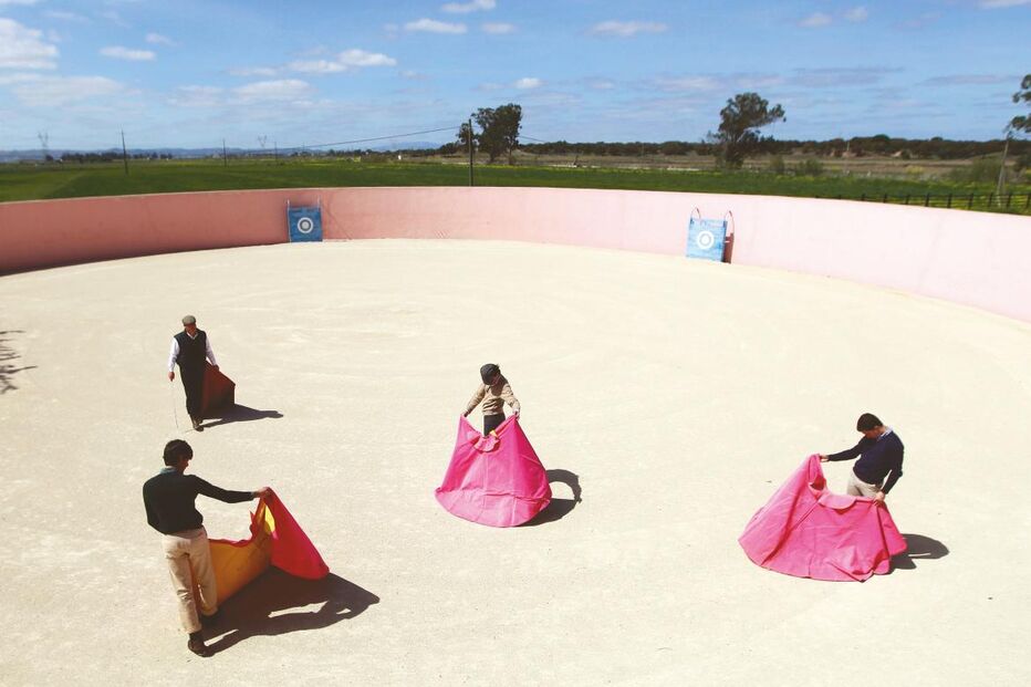 O sonho de matar na arena (COM VÍDEO)