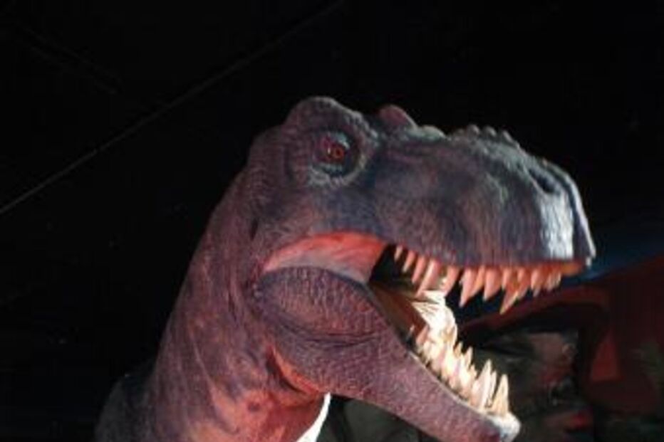 dinossauros, gases, metano, pré-história, terra, clima, flatulência