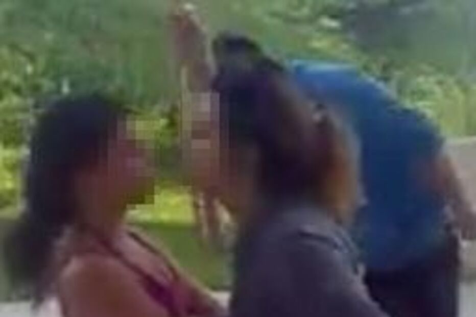 ESPANCADA, AGRESSÃO, ROUBO, ASSALTO, FURTO, LISBOA