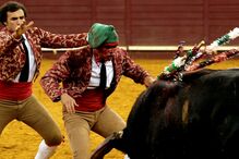 TOURADAS, TELEVISÃO, PARTIDOS, PSD, CDS-PP