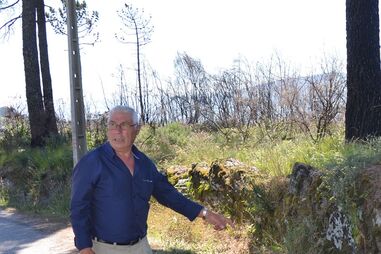 BAIÃO, ATROPELAMENTOS, IDOSO, HOMEM, SÃO JOÃO, FESTA