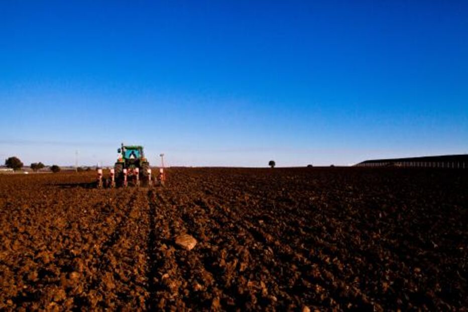 Seca, agricultura, água, solo, trágica, Campina de Faro