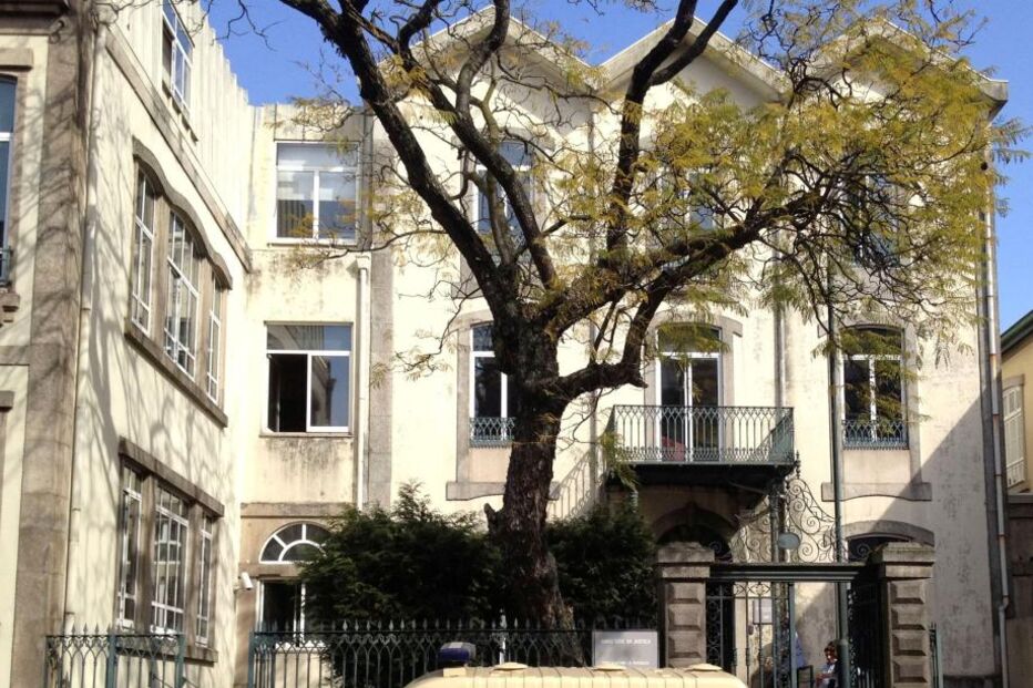 burla, advogada, ordem, expulsa