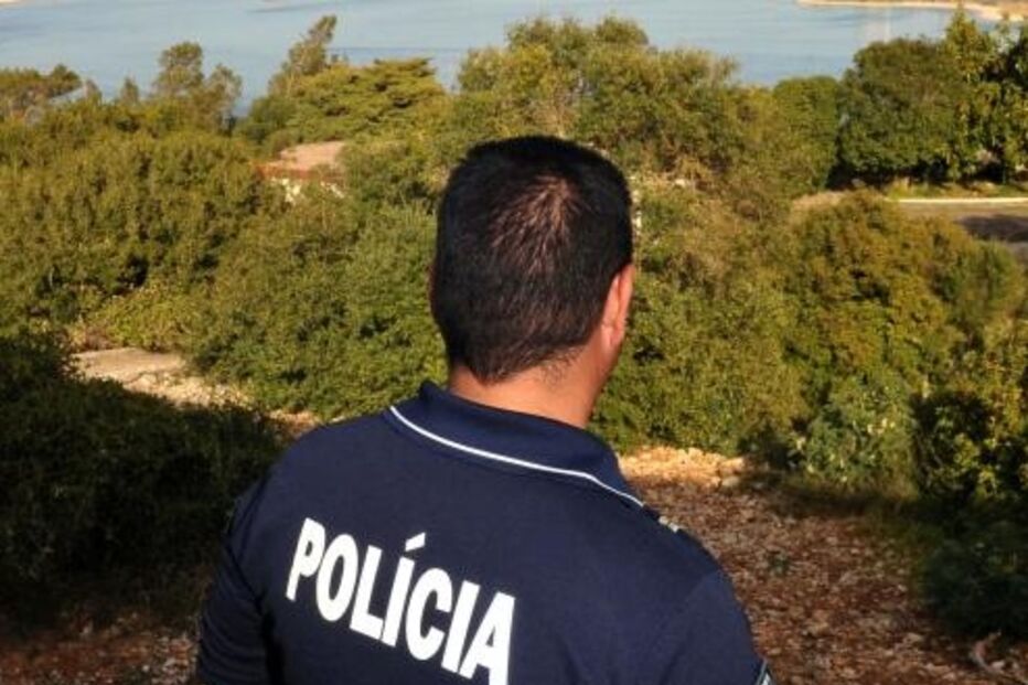 psp, droga, haxixe, detenção, avenida de ceuta, bairro quinta da cabrinha, arma