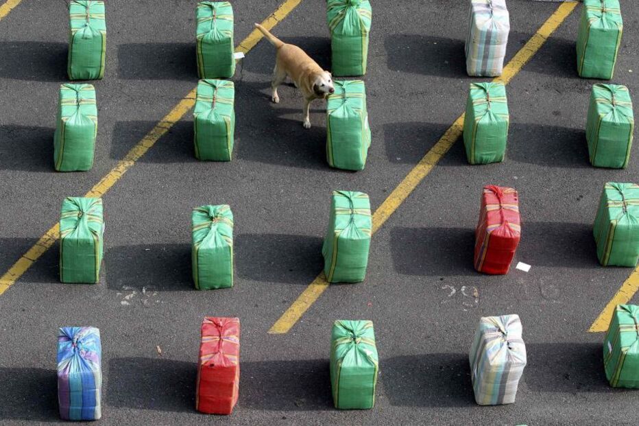 brasil, camião, acidente, mortos, droga, tráfico, índios, madeira