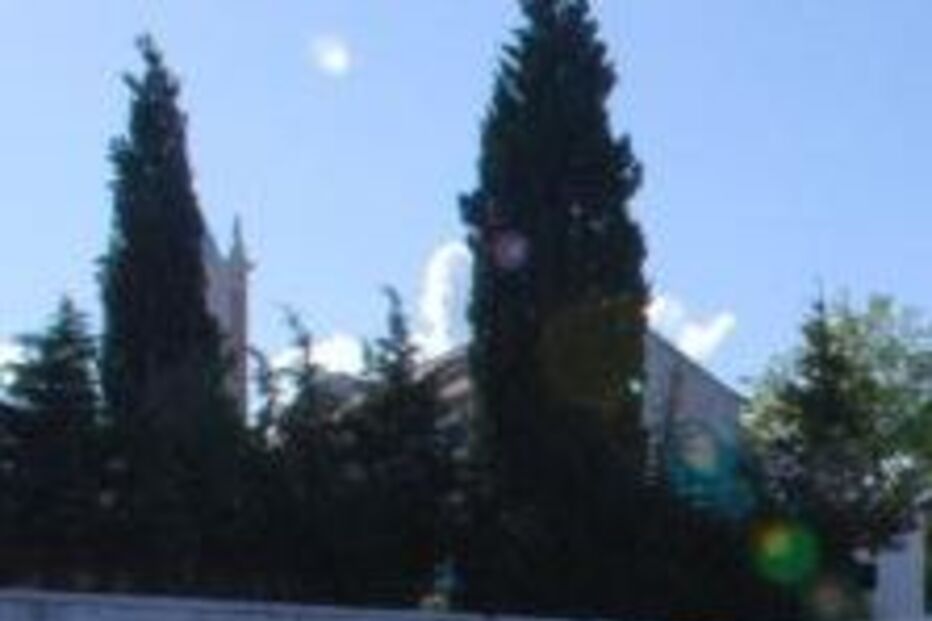 ARRUDA DOS VINHOS, GAY, SEXO, MORTE