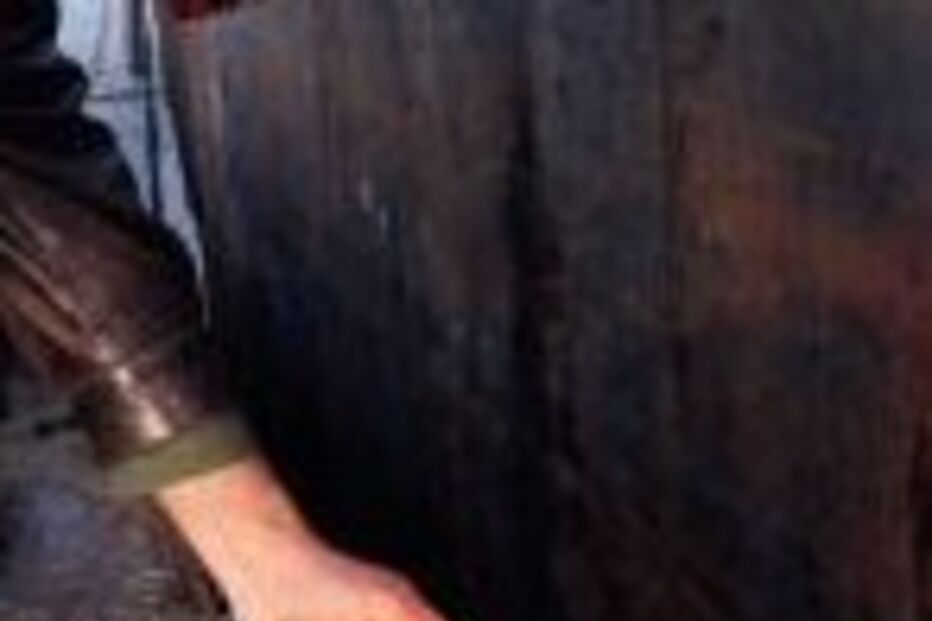 amêijoa, apreensão, samouco, gnr