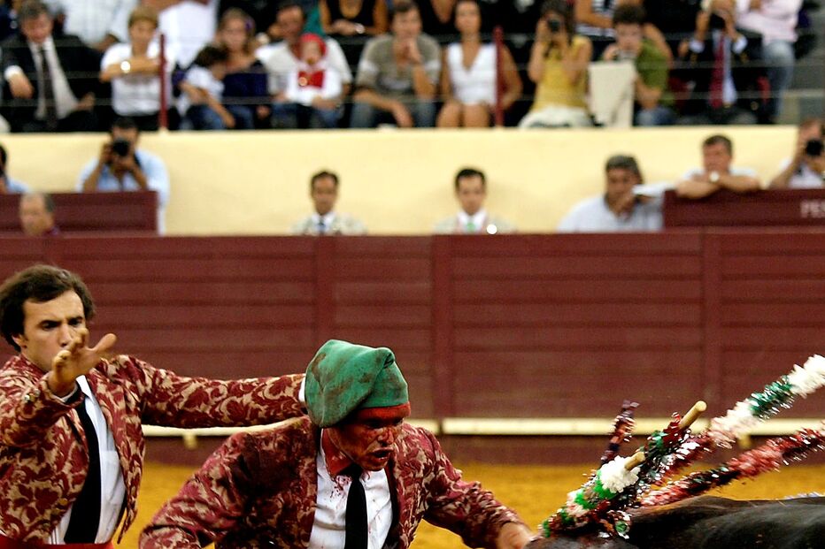 TOURADAS, TELEVISÃO, PARTIDOS, PSD, CDS-PP