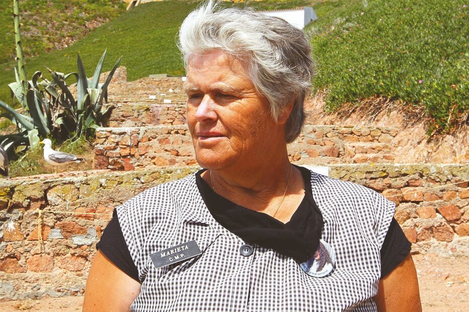 É impossível comer ovos de gaivota como antigamente 